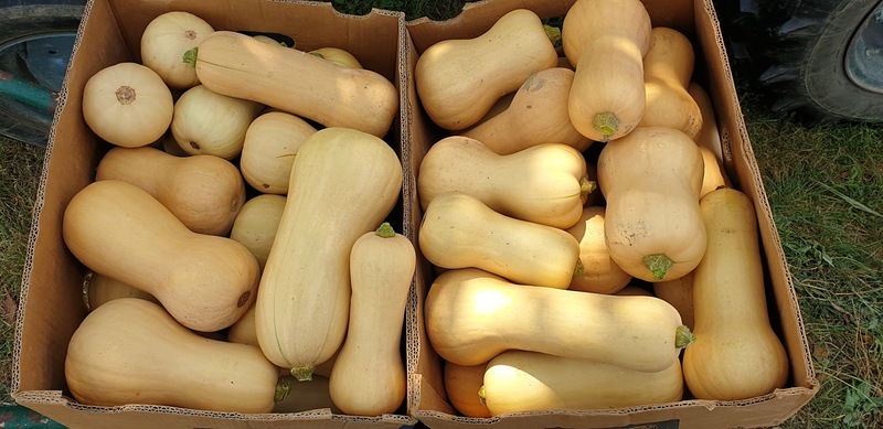 Medium 2efa4913 70bd 45cb 9e2e ce73a05bf082